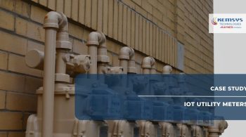 IoT Utility Meters